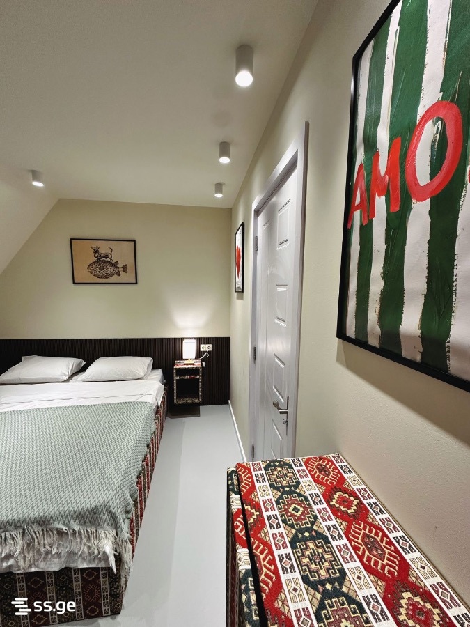 6 Room Private House Daily Rent. Bazaleti view 9