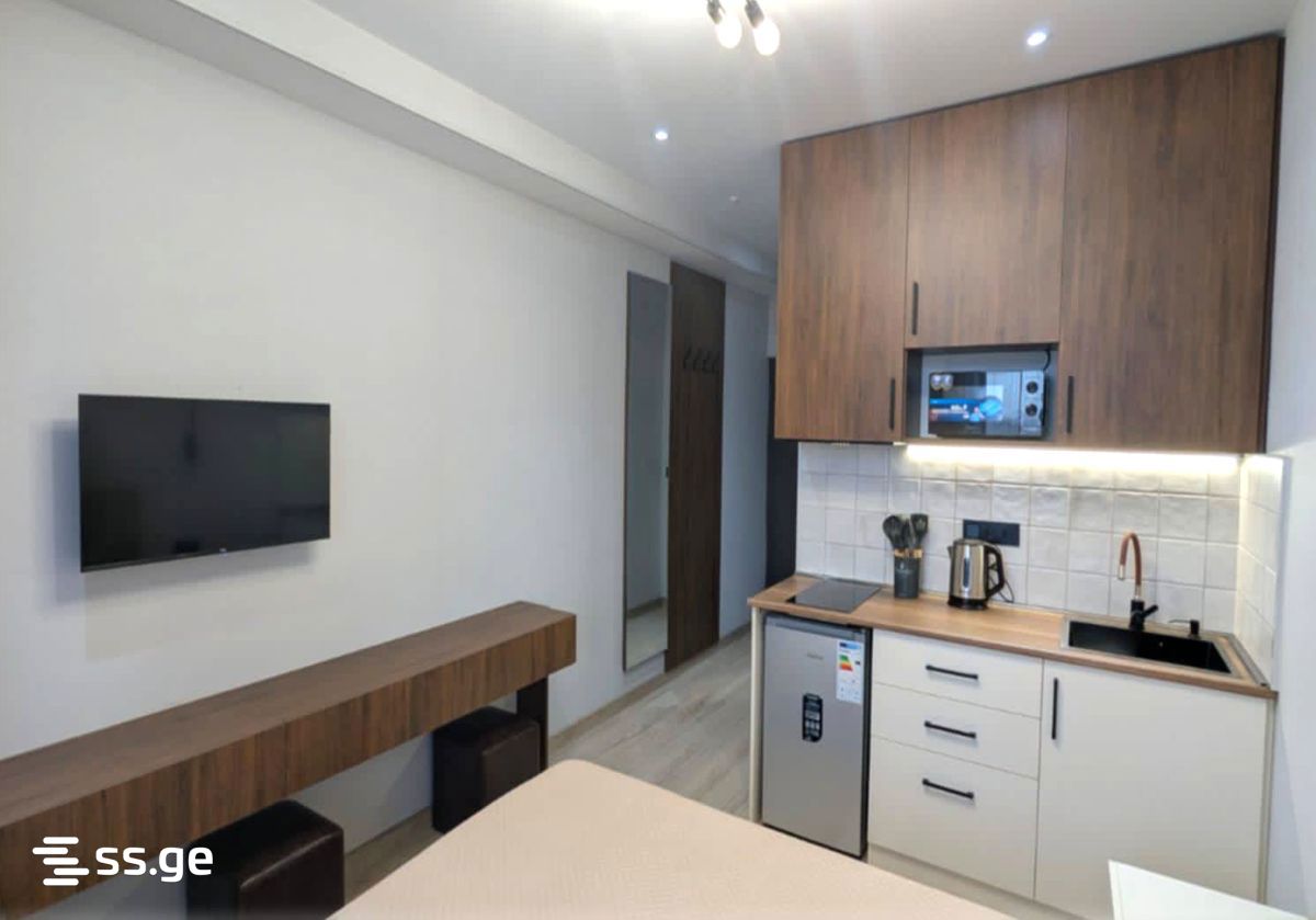 1 Room Flat For Rent. Rustavi view 3