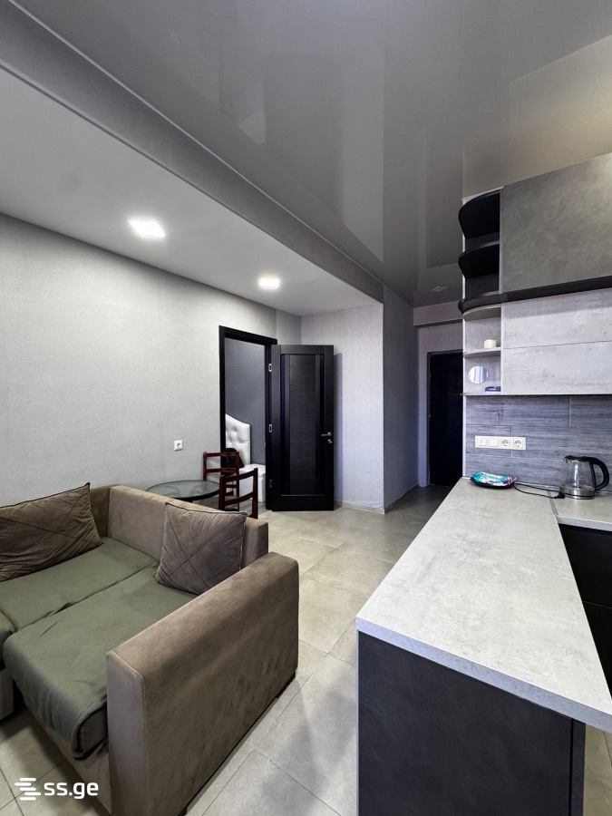 2 Room Flat For Rent. Kutaisi view 5