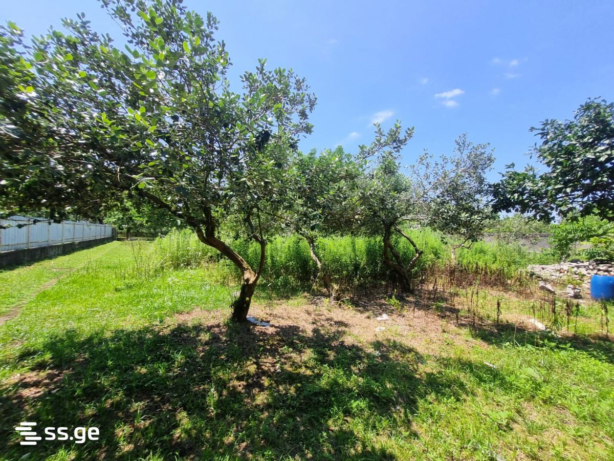 Land For Sale. Poti view 2