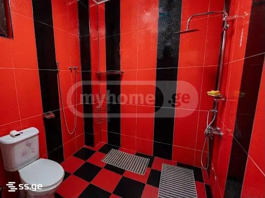 7 Room Private House Daily Rent. Batumi view 12