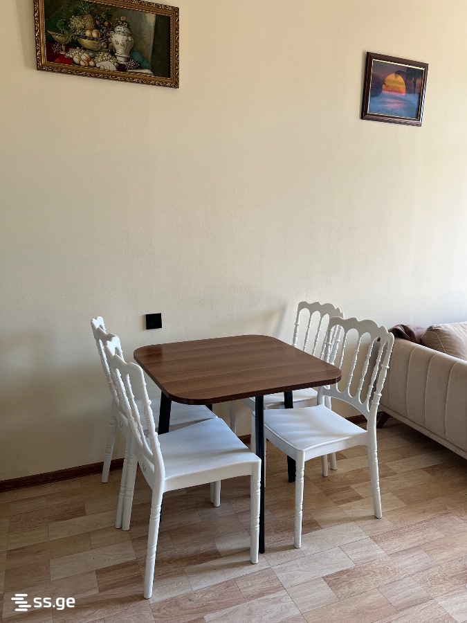 2 Room Flat Daily Rent. Batumi view 3