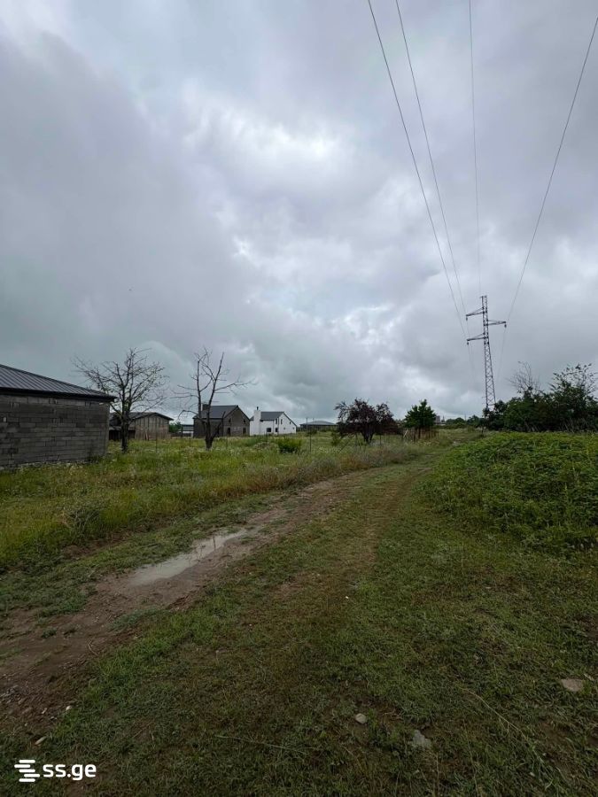 Land For Sale. Telavi, 1 of 4