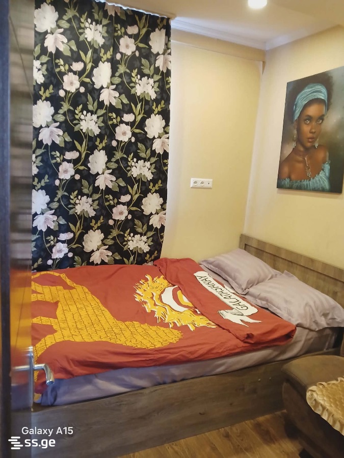 1 Room Flat Daily Rent. Rustavi view 2