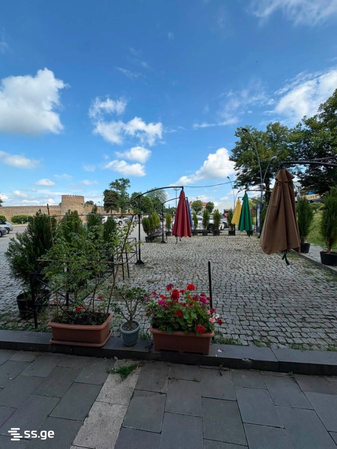 Commercial Space For Rent. Telavi, 2 of 4