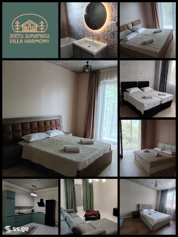6 Room Private House For Rent. Tianeti view 1