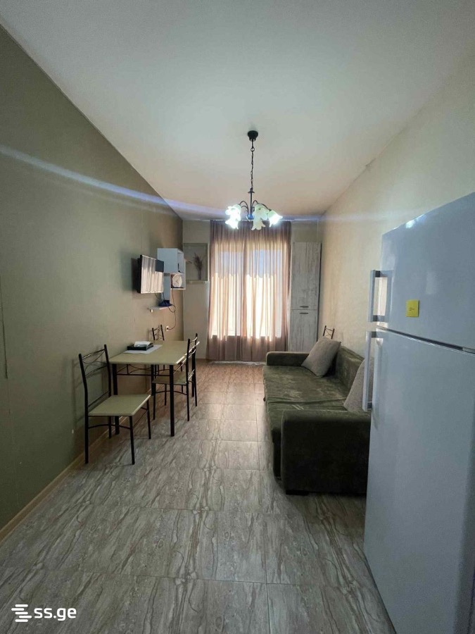 2 Room Flat Daily Rent. Borjomi view 11