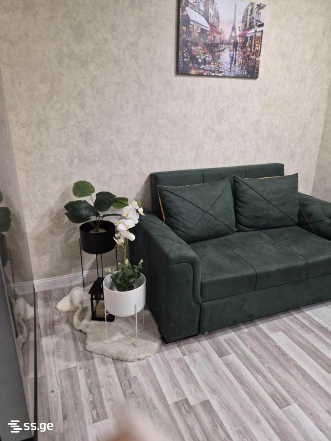 2 Room Flat For Rent. Kutaisi view 3