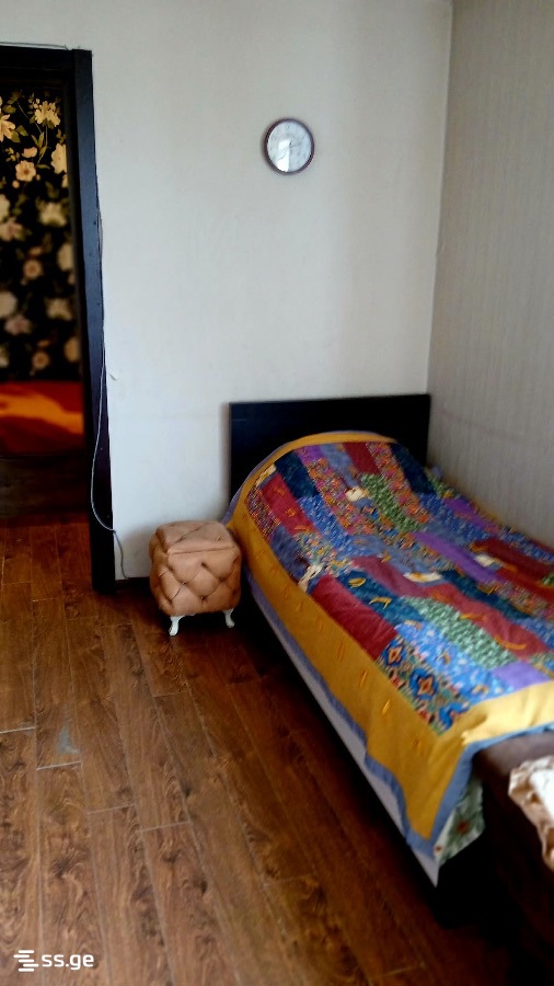 1 Room Flat Daily Rent. Rustavi view 5