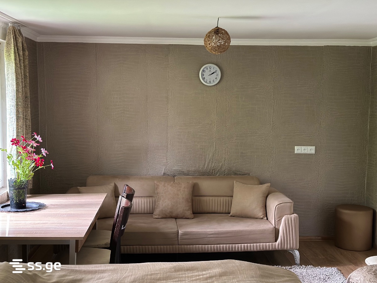 4 Room Private House Daily Rent. Bakuriani view 4
