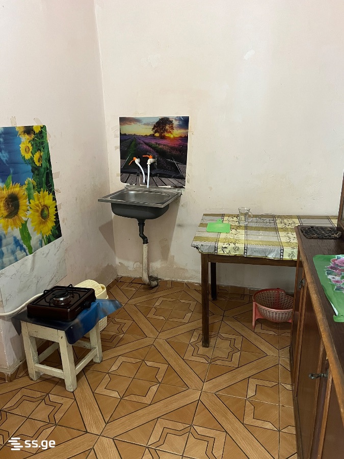 1 Room Private House For Rent. Samtredia view 5