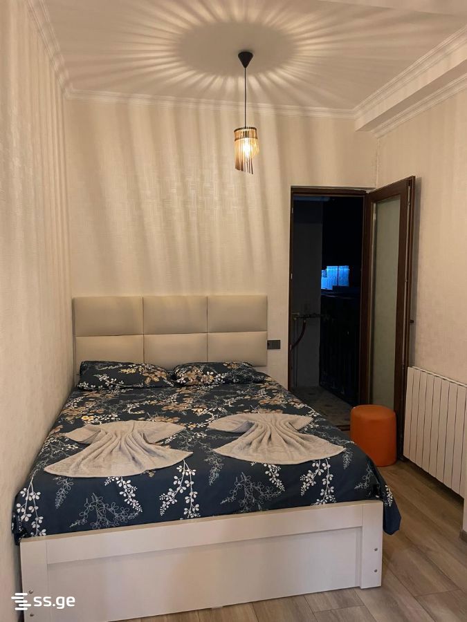 1 Room Flat Daily Rent. Kutaisi view 3