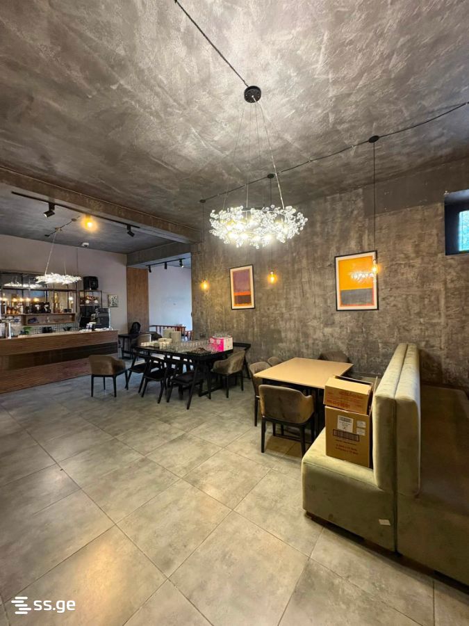 Commercial Space For Rent. Telavi view 10