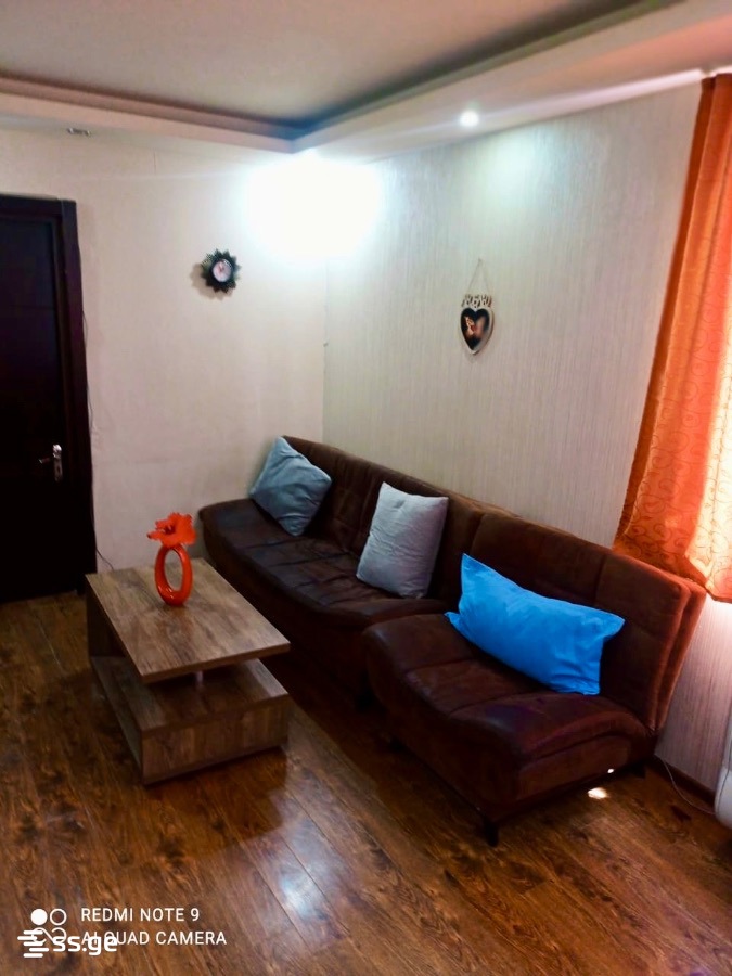 1 Room Flat Daily Rent. Rustavi view 6