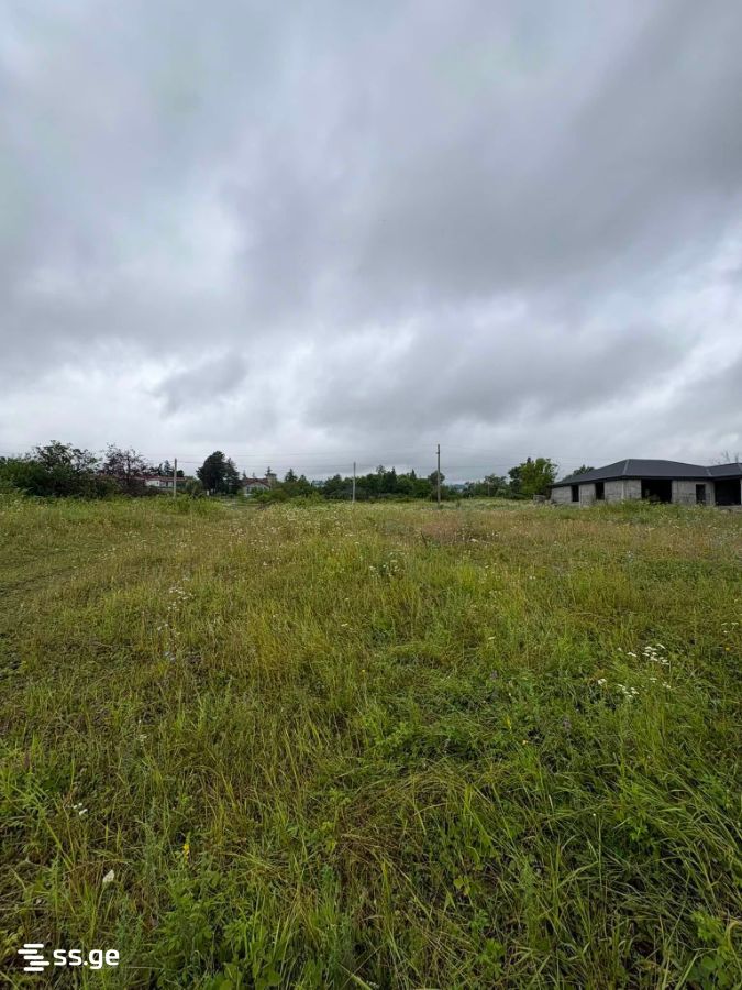 Land For Sale. Telavi, 2 of 4