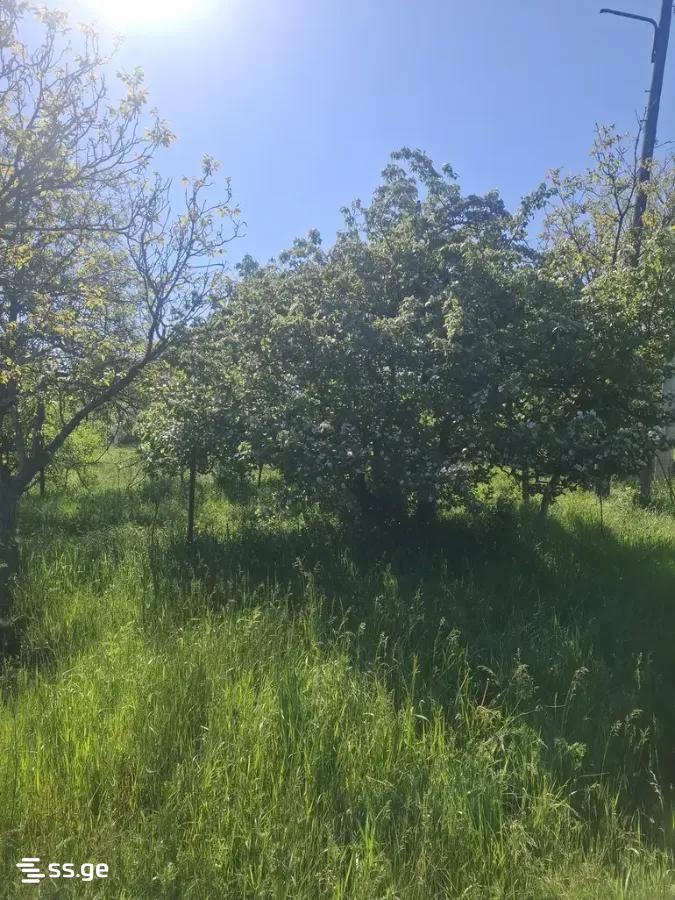 Land For Sale. Gori view 5