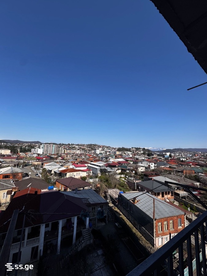 2 Room Flat For Rent. Kutaisi view 13