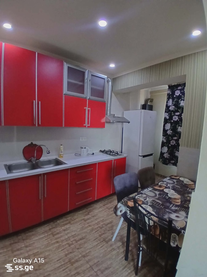 1 Room Flat Daily Rent. Rustavi view 3
