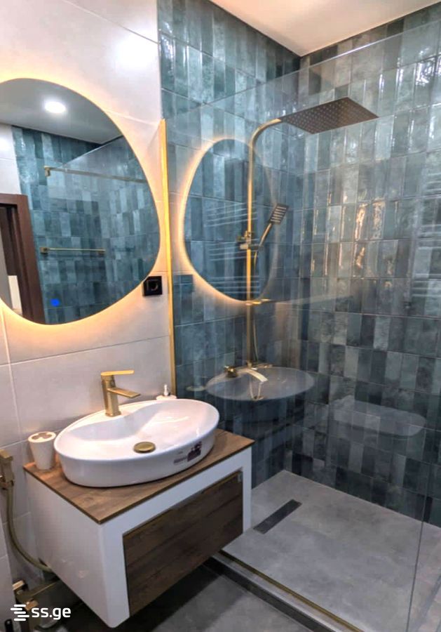 1 Room Flat For Rent. Rustavi view 6