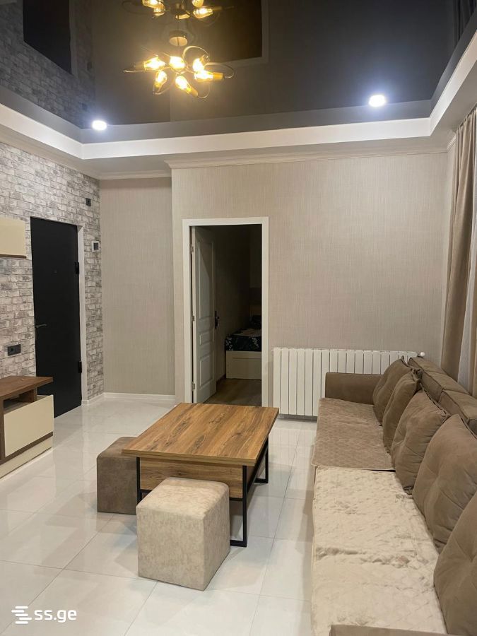 1 Room Flat Daily Rent. Kutaisi view 9