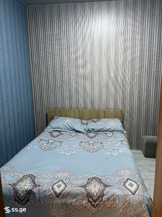2 Room Flat Daily Rent. Batumi view 10