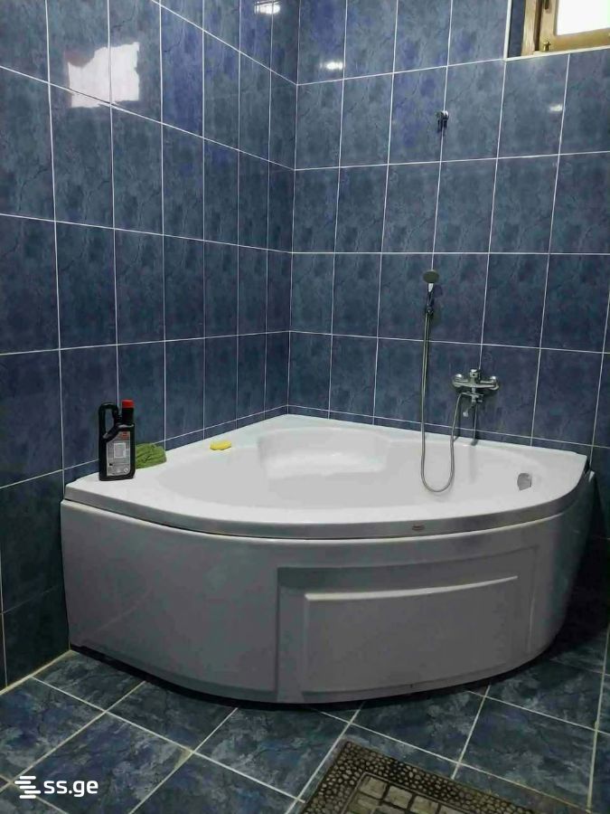 Summer Cottage For Rent. Batumi view 11