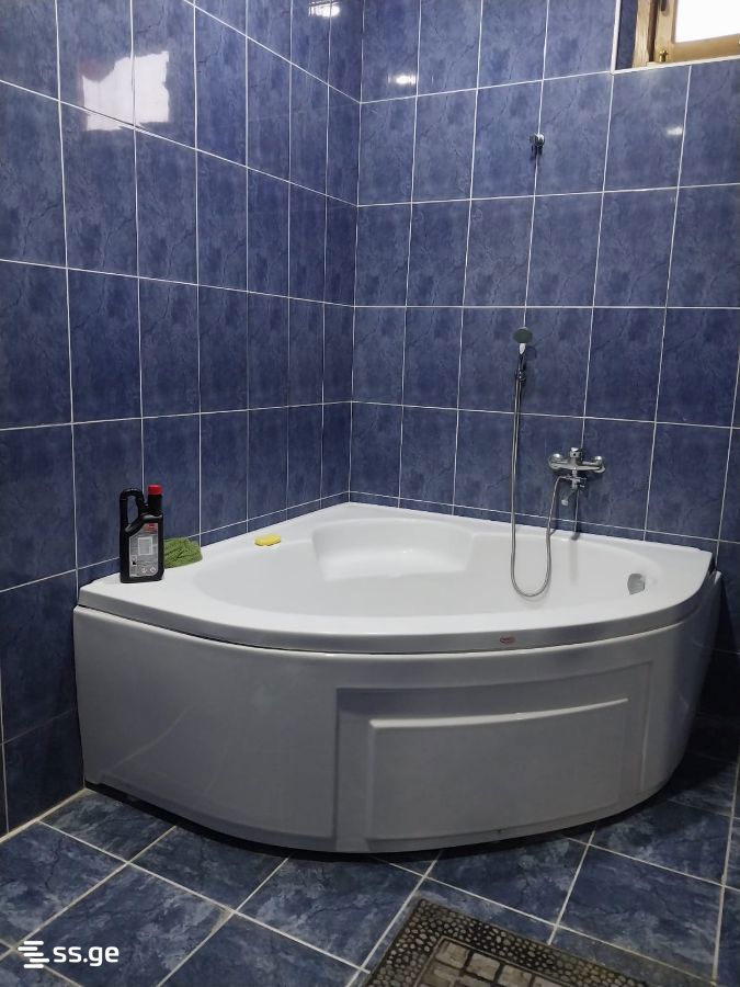 Private House For Rent. Makhindjauri view 12