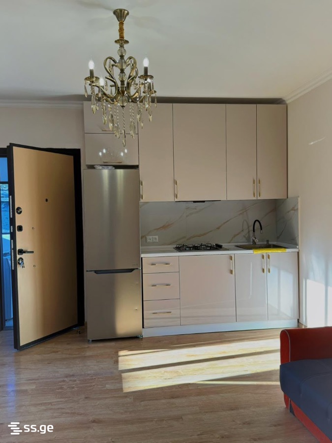 2 Room Private House For Rent. Batumi view 1