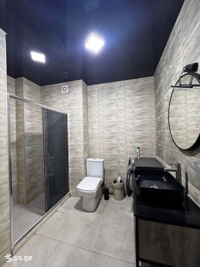 2 Room Flat For Rent. Kutaisi view 11