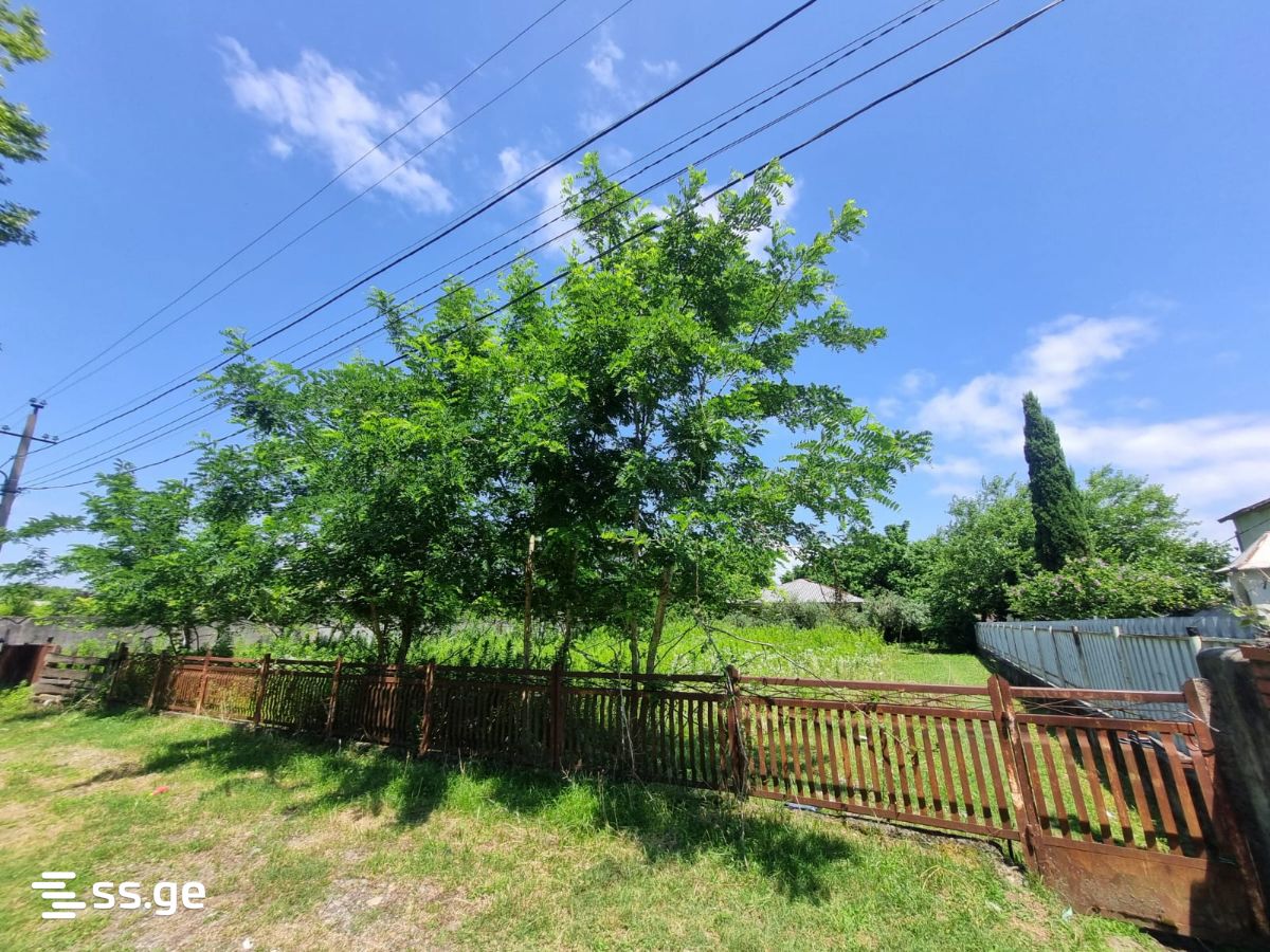 Land For Sale. Poti view 5
