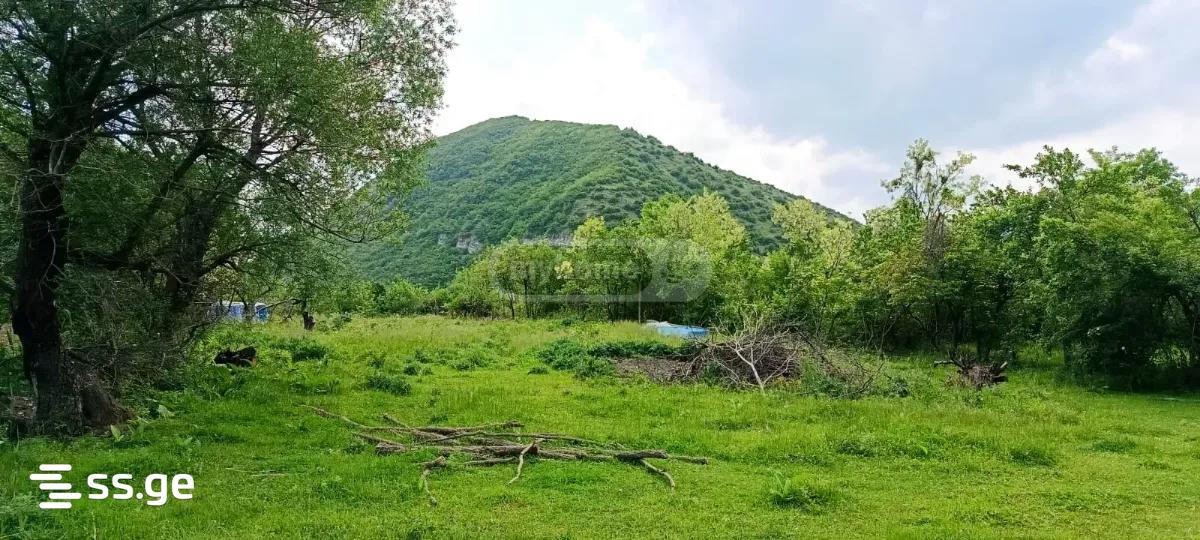 Land For Sale. Nadzaladevi, 3 of 4