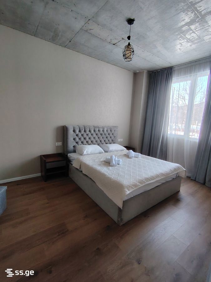 6 Room Private House For Rent. Tianeti view 6