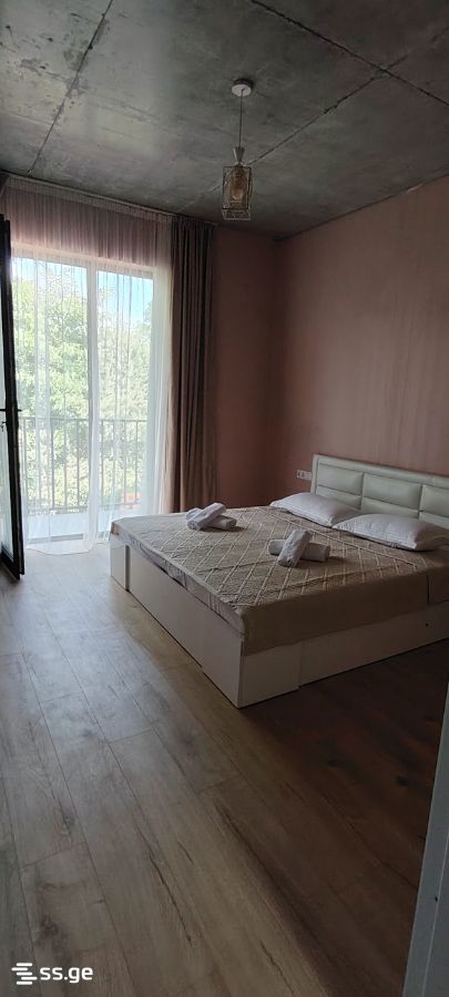 6 Room Private House For Rent. Tianeti view 11