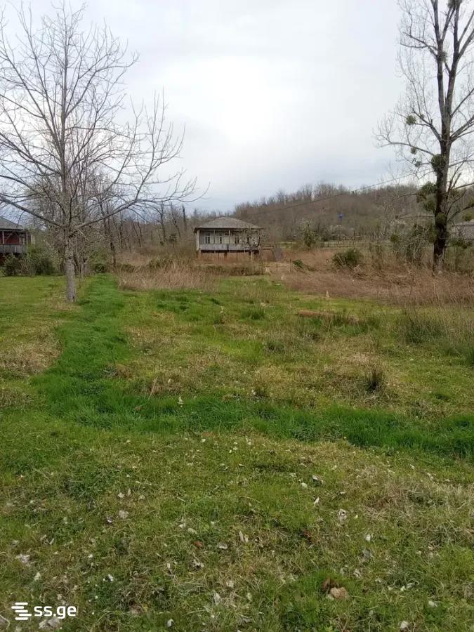 Продажа Земля в сенаки view 1