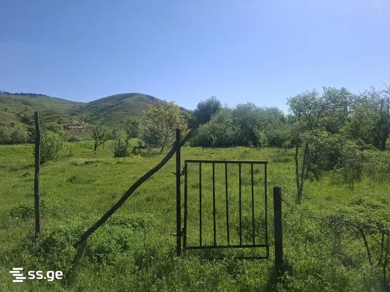Land For Sale. Gori, 1 of 4