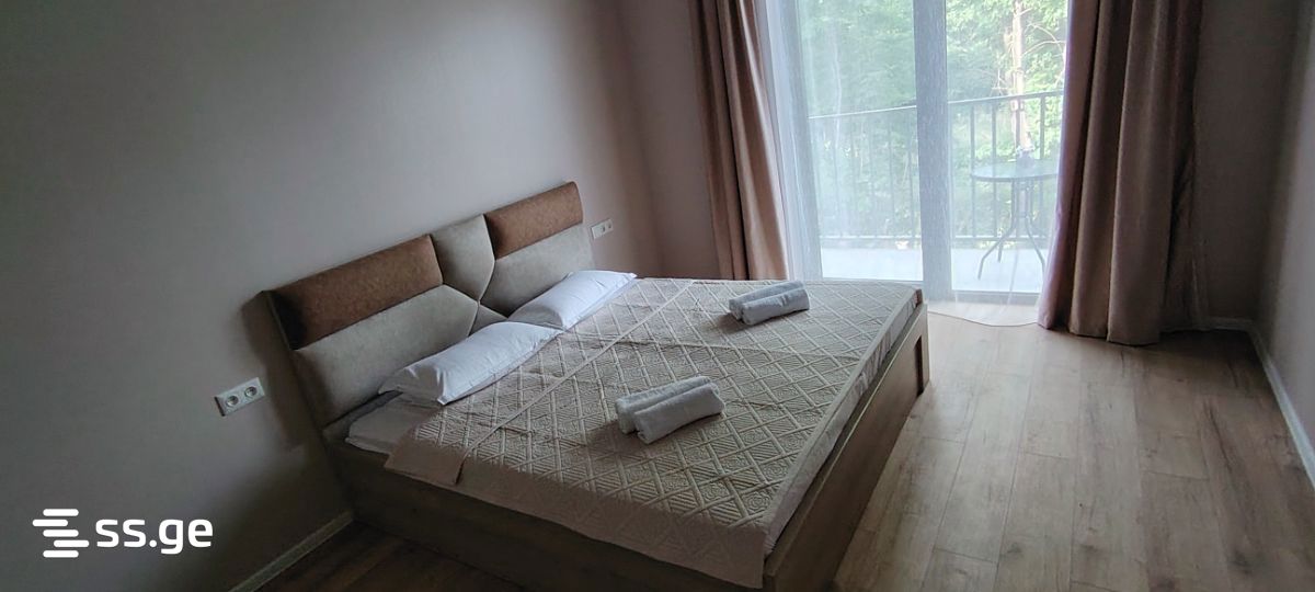 6 Room Private House For Rent. Tianeti view 7