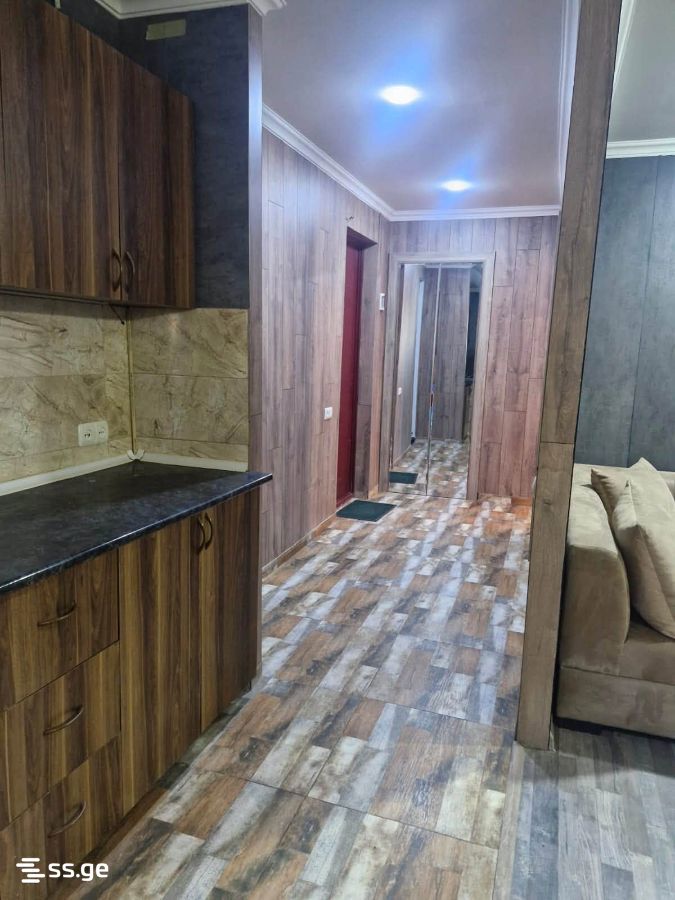 2 Room Flat For Rent. Rustavi view 5