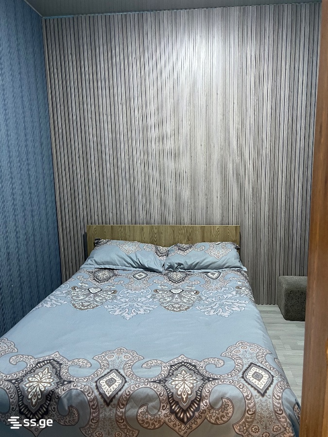 2 Room Flat Daily Rent. Batumi view 9