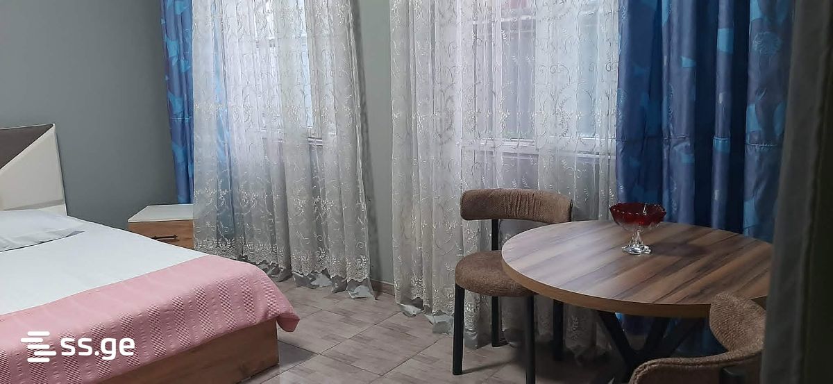 1 Room Private House Daily Rent. Batumi view 3