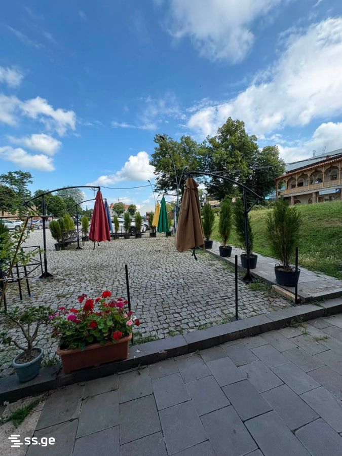 Commercial Space For Rent. Telavi view 7