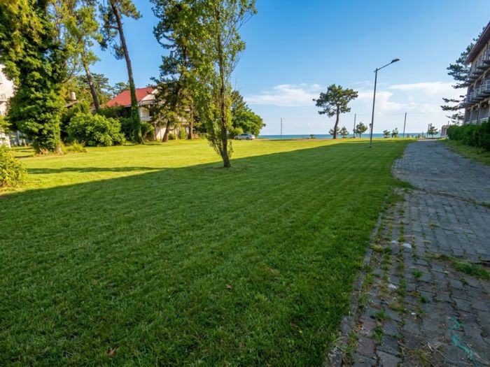 https://static.ss.ge/20260710/2_c4f3053a-54dc-47f6-84c7-09f36e6f0d2c_Thumb.jpg