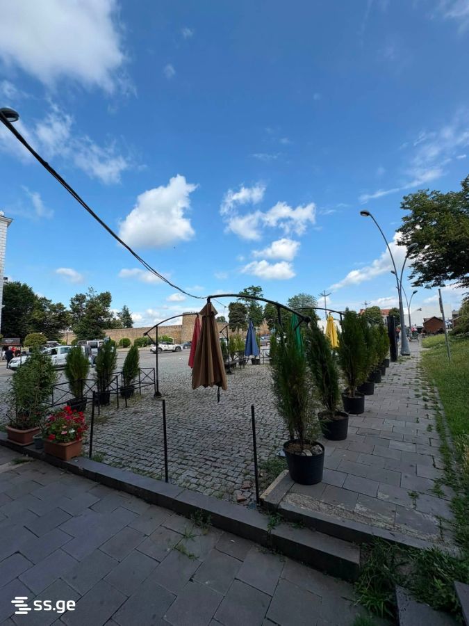 Commercial Space For Rent. Telavi view 1