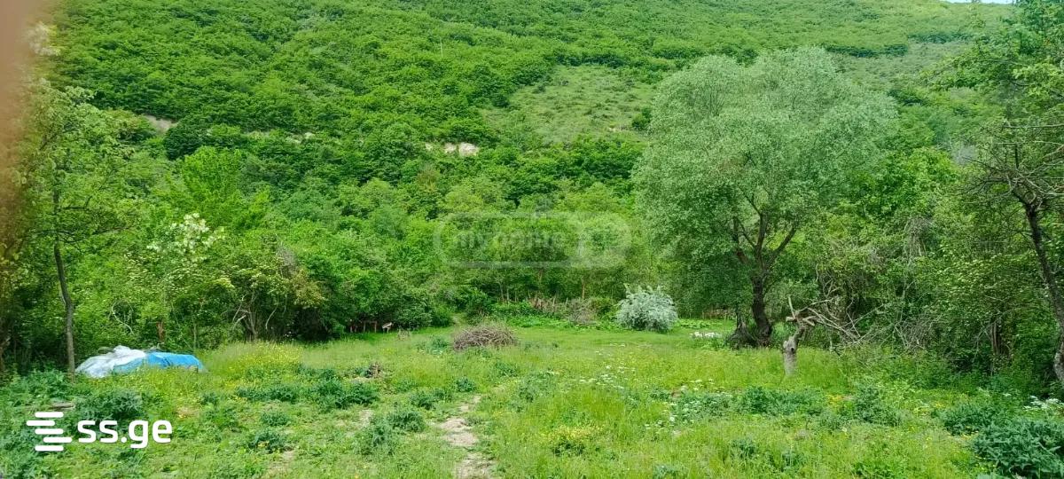 Land For Sale. Nadzaladevi, 4 of 4
