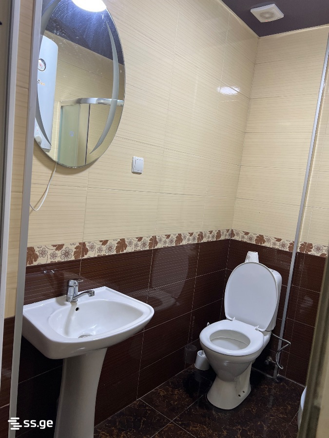 2 Room Flat Daily Rent. Batumi view 6