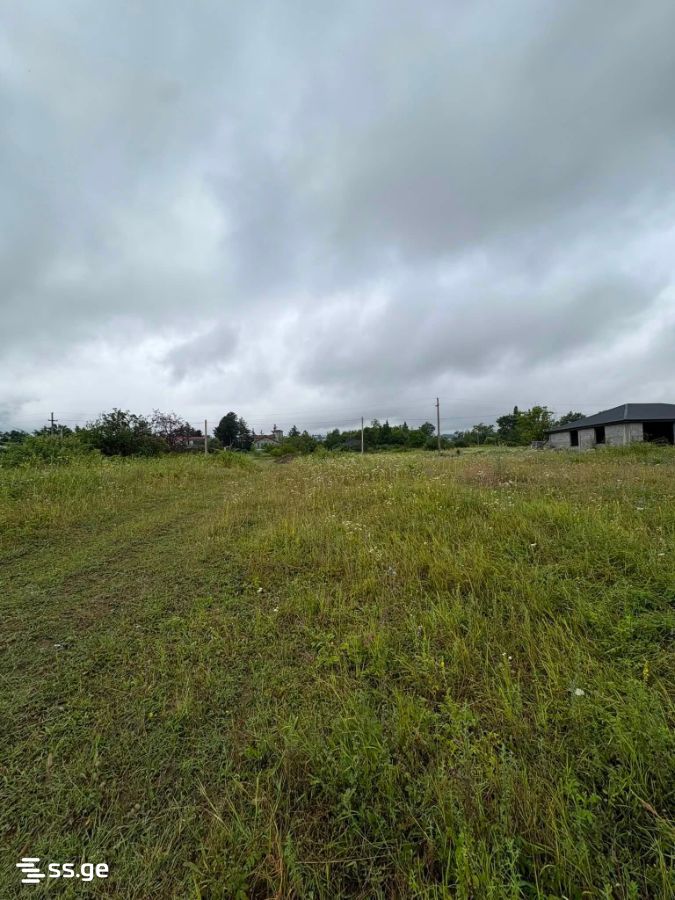 Land For Sale. Telavi, 4 of 4