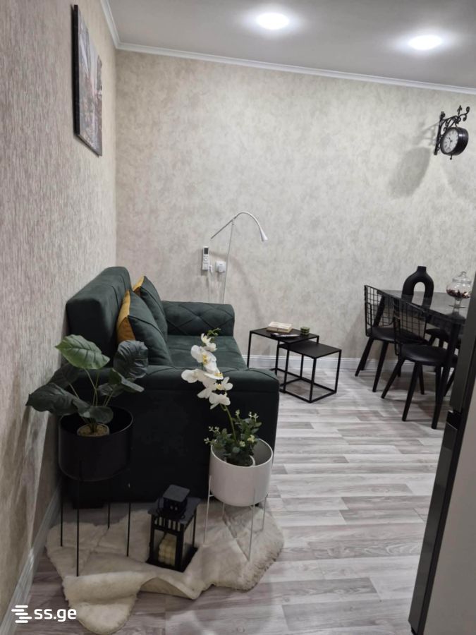 2 Room Flat For Rent. Kutaisi view 4