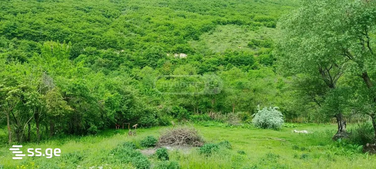 Land For Sale. Nadzaladevi view 6