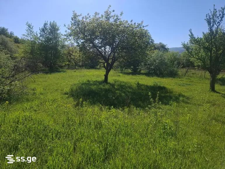 Land For Sale. Gori, 4 of 4