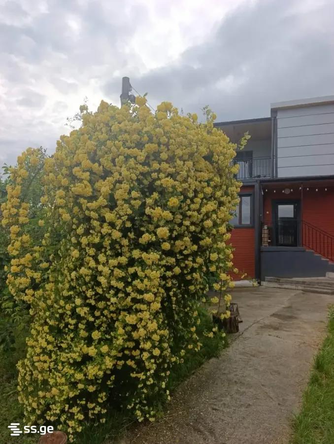4 Room Private House For Sale view 9