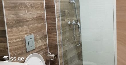 1 Room Flat For Rent. Bakuriani view 2